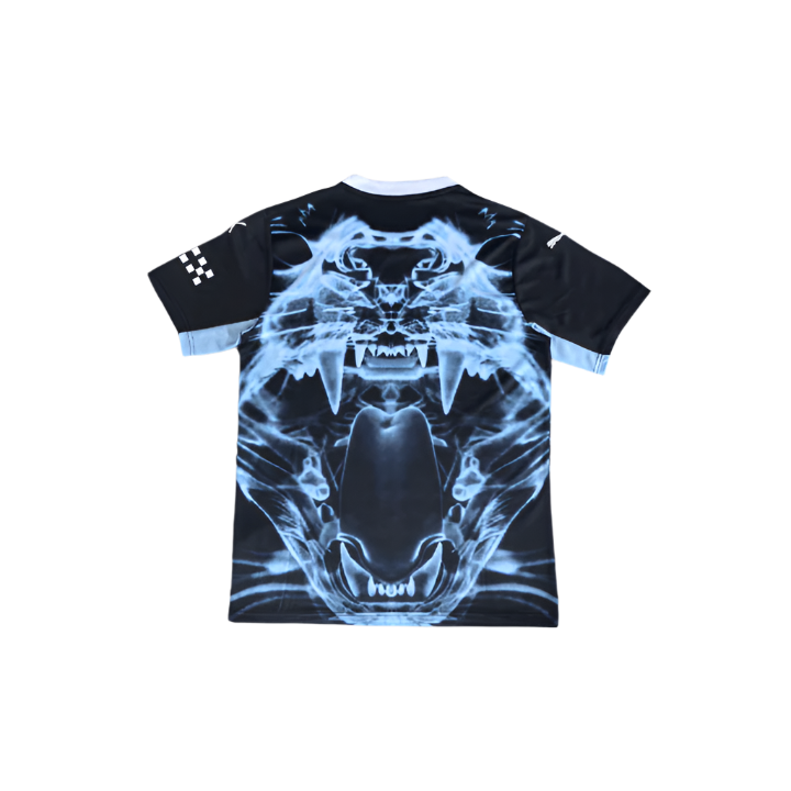 Manchester City "Predator X" Premium Kit