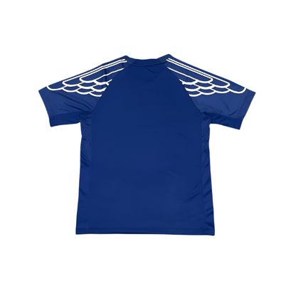 24/25 PSG Fourth Kit