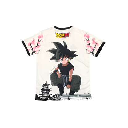 Japan "Dragon Ball" Premium Kit