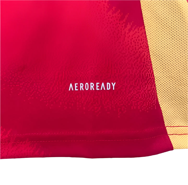 Spain 2024 Home Kit