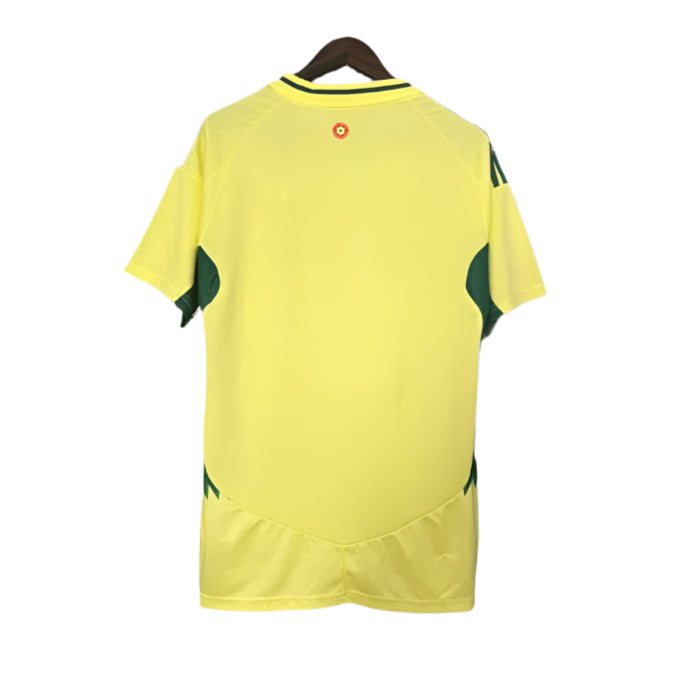 Wales 2024 Away Kit