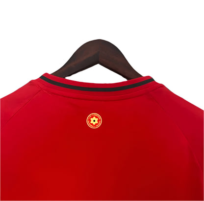 Wales 2024 Home Kit
