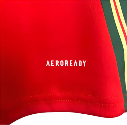 Wales 2024 Home Kit