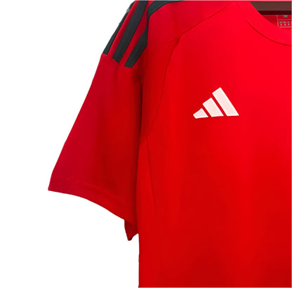 Wales 2024 Home Kit